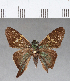  ( - CFC09867)  @11 [ ] Copyright (2018) Christer Fahraeus Center For Collection-Based Research