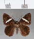  ( - CFC09871)  @13 [ ] Copyright (2018) Christer Fahraeus Center For Collection-Based Research