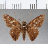  ( - CFC09881)  @11 [ ] Copyright (2018) Christer Fahraeus Center For Collection-Based Research