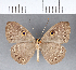  ( - CFC09889)  @11 [ ] Copyright (2018) Christer Fahraeus Center For Collection-Based Research