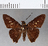  ( - CFC09889H)  @13 [ ] Copyright (2018) Christer Fahraeus Center For Collection-Based Research