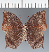  ( - CFC09931)  @11 [ ] copyright (2023) Center For Collection-Based Research Center For Collection-Based Research