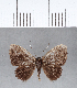  ( - CFC09941_2)  @11 [ ] Copyright (2019) Christer Fahraeus Center For Collection-Based Research