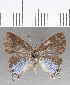 ( - CFC09944)  @11 [ ] Copyright (2019) Christer Fahraeus Center For Collection-Based Research