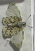  ( - CFCA05231)  @11 [ ] copyright (2023) Center For Collection-Based Research Center For Collection-Based Research