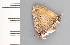  ( - CFCA01866)  @11 [ ] copyright (2022) Center For Collection-Based Research Center For Collection-Based Research