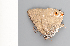  ( - CFCA01894)  @11 [ ] copyright (2022) Center For Collection-Based Research Center For Collection-Based Research
