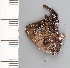  ( - CFCA01980)  @11 [ ] copyright (2022) Center For Collection-Based Research Center For Collection-Based Research