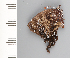  ( - CFCA01981)  @11 [ ] copyright (2022) Center For Collection-Based Research Center For Collection-Based Research