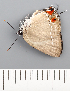  ( - CFCA02191)  @11 [ ] copyright (2022) Center For Collection-Based Research Center For Collection-Based Research