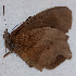  ( - CEP-DNA6496)  @11 [ ] by-nc-sa (2024) MZUJ Jagiellonian University, Nature Education Centre