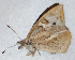  ( - CEP-DNA6579)  @11 [ ] by-nc-sa (2024) MZUJ Jagiellonian University, Nature Education Centre