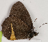  ( - CEP-DNA7701)  @11 [ ] by-nc-sa (2024) MZUJ Jagiellonian University, Nature Education Centre