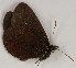  ( - CEP-DNA7722)  @11 [ ] by-nc-sa (2024) MZUJ Jagiellonian University, Nature Education Centre