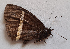  ( - CEP-DNA5887)  @11 [ ] by-nc-sa (2023) MZUJ Jagiellonian University, Nature Education Centre