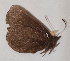  ( - CEP-DNA5972)  @11 [ ] by-nc-sa (2023) MZUJ Jagiellonian University, Nature Education Centre