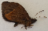  ( - CEP-DNA6132)  @11 [ ] by-nc-sa (2023) MZUJ Jagiellonian University, Nature Education Centre
