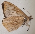  ( - CEP-DNA6185)  @11 [ ] by-nc-sa (2023) MZUJ Jagiellonian University, Nature Education Centre