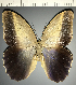  ( - CFC34746)  @11 [ ] copyright (2024) Center For Collection-Based Research Center For Collection-Based Research