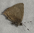  ( - CFCA06921)  @11 [ ] copyright (2024) Center For Collection-Based Research Center For Collection-Based Research