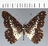  ( - CFCD02742)  @11 [ ] copyright (2023) Center For Collection-Based Research Center For Collection-Based Research