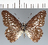  ( - CFCD02758)  @11 [ ] copyright (2023) Center For Collection-Based Research Center For Collection-Based Research