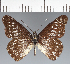  ( - CFCD02759)  @11 [ ] copyright (2023) Center For Collection-Based Research Center For Collection-Based Research