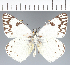  ( - CFCD02778)  @11 [ ] copyright (2023) Center For Collection-Based Research Center For Collection-Based Research