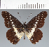  ( - CFCD02780)  @11 [ ] copyright (2023) Center For Collection-Based Research Center For Collection-Based Research