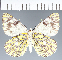  ( - CFCD02783)  @11 [ ] copyright (2023) Center For Collection-Based Research Center For Collection-Based Research