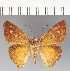  ( - CFCD03273)  @11 [ ] copyright (2023) Center For Collection-Based Research Center For Collection-Based Research