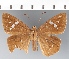  ( - CFCD03279)  @11 [ ] copyright (2023) Center For Collection-Based Research Center For Collection-Based Research
