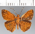  ( - CFCD03280)  @11 [ ] copyright (2023) Center For Collection-Based Research Center For Collection-Based Research