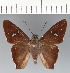  ( - CFCD03287)  @11 [ ] copyright (2023) Center For Collection-Based Research Center For Collection-Based Research