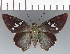  ( - CFCD03297)  @11 [ ] copyright (2023) Center For Collection-Based Research Center For Collection-Based Research