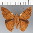  ( - CFCD03302)  @11 [ ] copyright (2023) Center For Collection-Based Research Center For Collection-Based Research