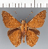  ( - CFCD03303)  @11 [ ] copyright (2023) Center For Collection-Based Research Center For Collection-Based Research