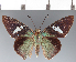  ( - CFCD03311)  @11 [ ] copyright (2023) Center For Collection-Based Research Center For Collection-Based Research