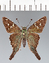  ( - CFCD03365)  @11 [ ] copyright (2023) Center For Collection-Based Research Center For Collection-Based Research