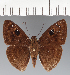  ( - CFCD03386)  @11 [ ] copyright (2023) Center For Collection-Based Research Center For Collection-Based Research