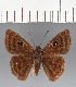 ( - CFCD03390)  @11 [ ] copyright (2023) Center For Collection-Based Research Center For Collection-Based Research