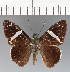  ( - CFCD03403)  @11 [ ] copyright (2023) Center For Collection-Based Research Center For Collection-Based Research