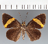  ( - CFCD03404)  @11 [ ] copyright (2023) Center For Collection-Based Research Center For Collection-Based Research