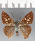  ( - CFCD03489)  @11 [ ] copyright (2023) Center For Collection-Based Research Center For Collection-Based Research