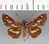 ( - CFCD03499)  @11 [ ] copyright (2023) Center For Collection-Based Research Center For Collection-Based Research