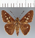  ( - CFCD03505)  @11 [ ] copyright (2023) Center For Collection-Based Research Center For Collection-Based Research
