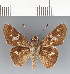  ( - CFCD03508)  @11 [ ] copyright (2023) Center For Collection-Based Research Center For Collection-Based Research
