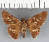  ( - CFCD03509)  @11 [ ] copyright (2023) Center For Collection-Based Research Center For Collection-Based Research