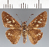  ( - CFCD03510)  @11 [ ] copyright (2023) Center For Collection-Based Research Center For Collection-Based Research