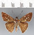  ( - CFCD03525)  @11 [ ] copyright (2023) Center For Collection-Based Research Center For Collection-Based Research